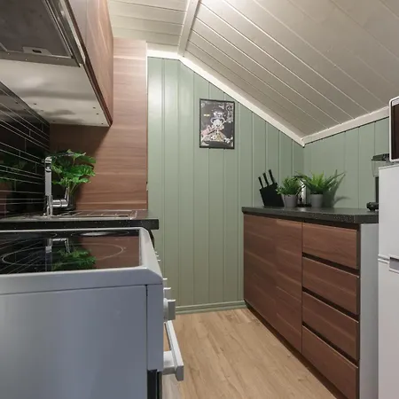 Renovated In The Center Of Appartement Lillehammer