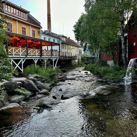 Renovated In The Center Of *